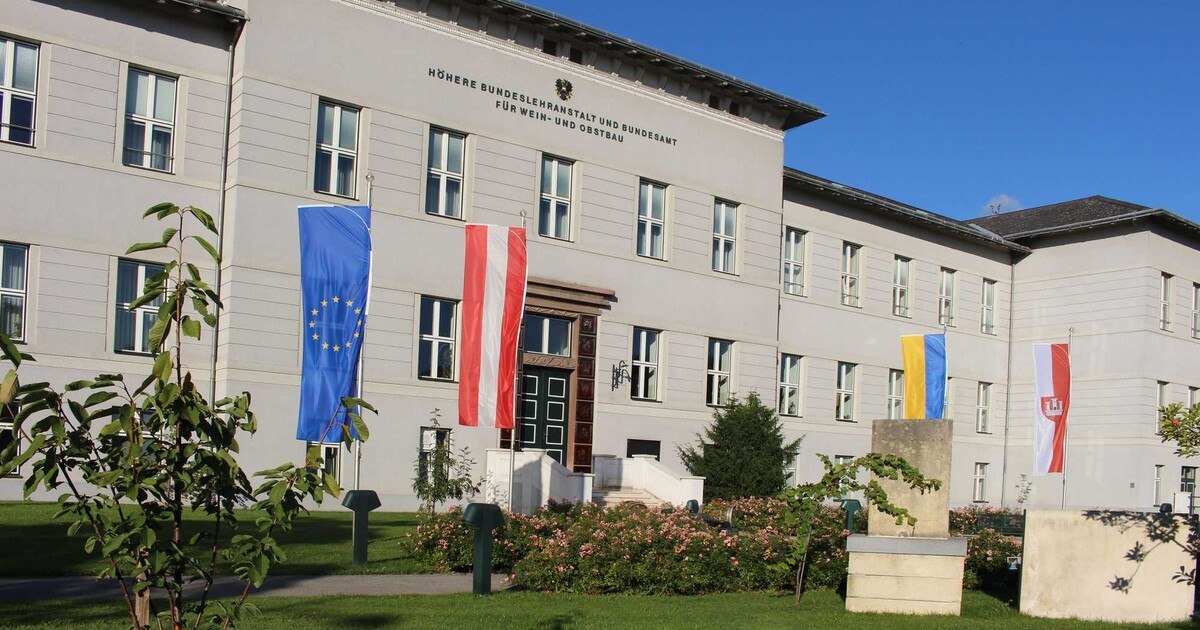 „Eye Catcher“ gesucht