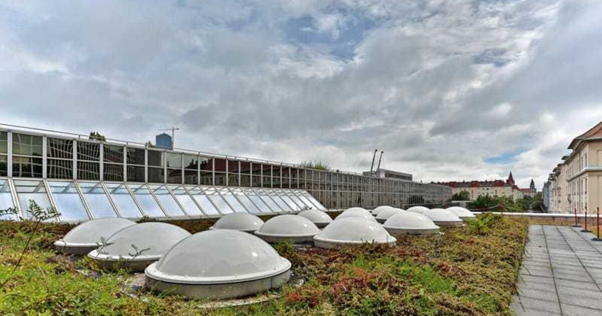 Licht rein – Wärme raus