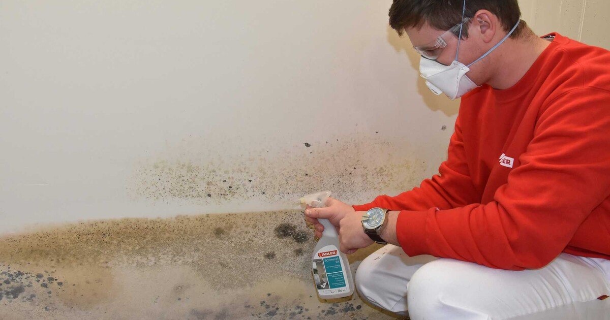 Chlorfreie Schimmelsanierung
