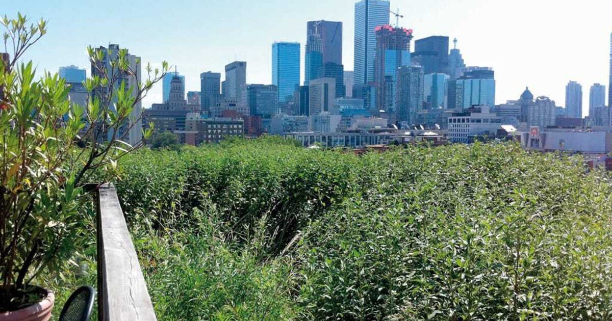 Architektur kann kontern