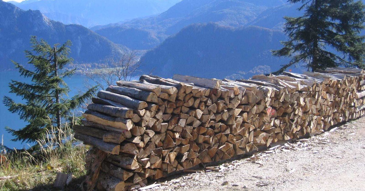 Mehr Biomasse für Oberösterreich