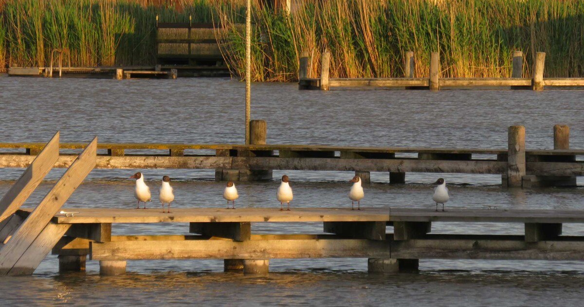 architektur in progress „Lichtblicke“