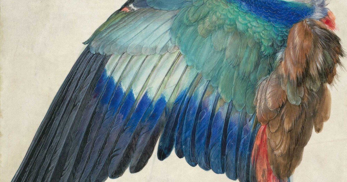 Beflügelnder Dürer