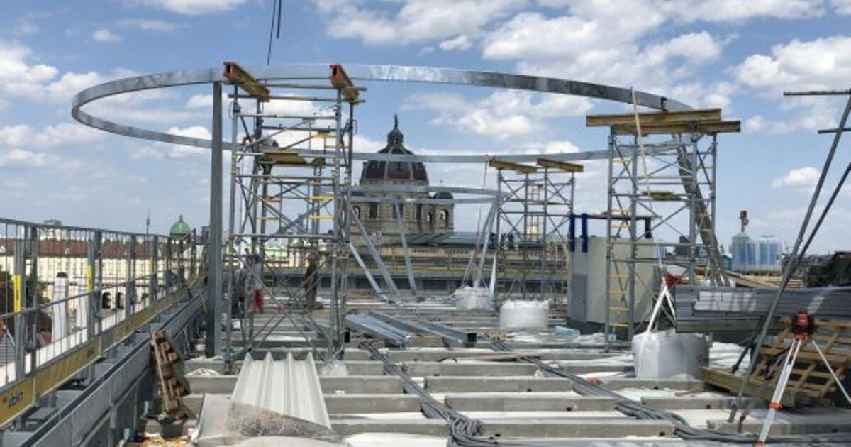 Leopold Museum: Libelle im Anflug