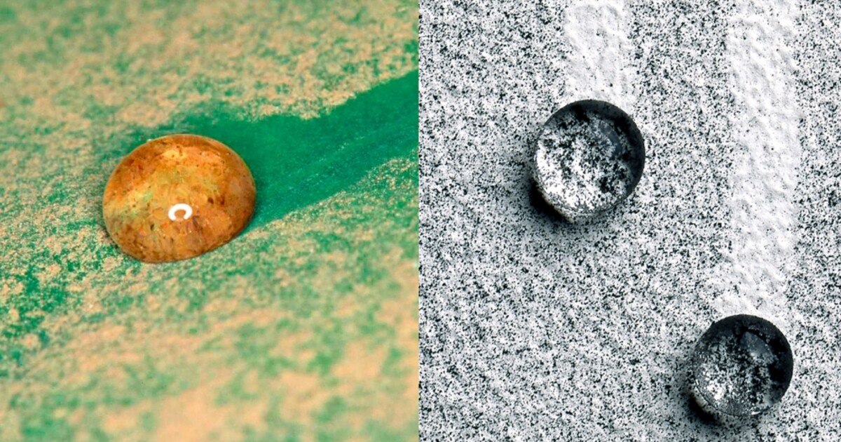 Lotus-Effekt & Co.: 20 Jahre bionische Bauprodukte