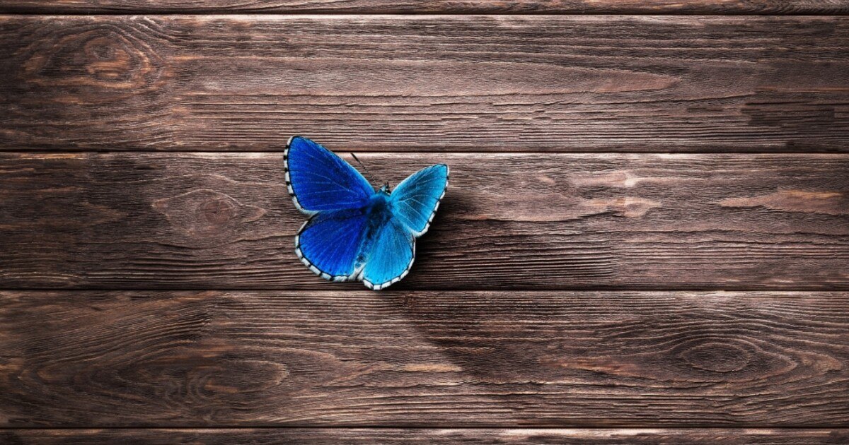 Umweltbundesamt testet Holzschutz- und Beschichtungsmittel