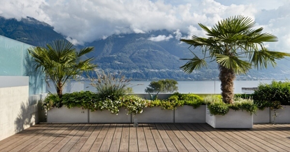 Frischluftzone: Welches Terrassenholz ist das Richtige?