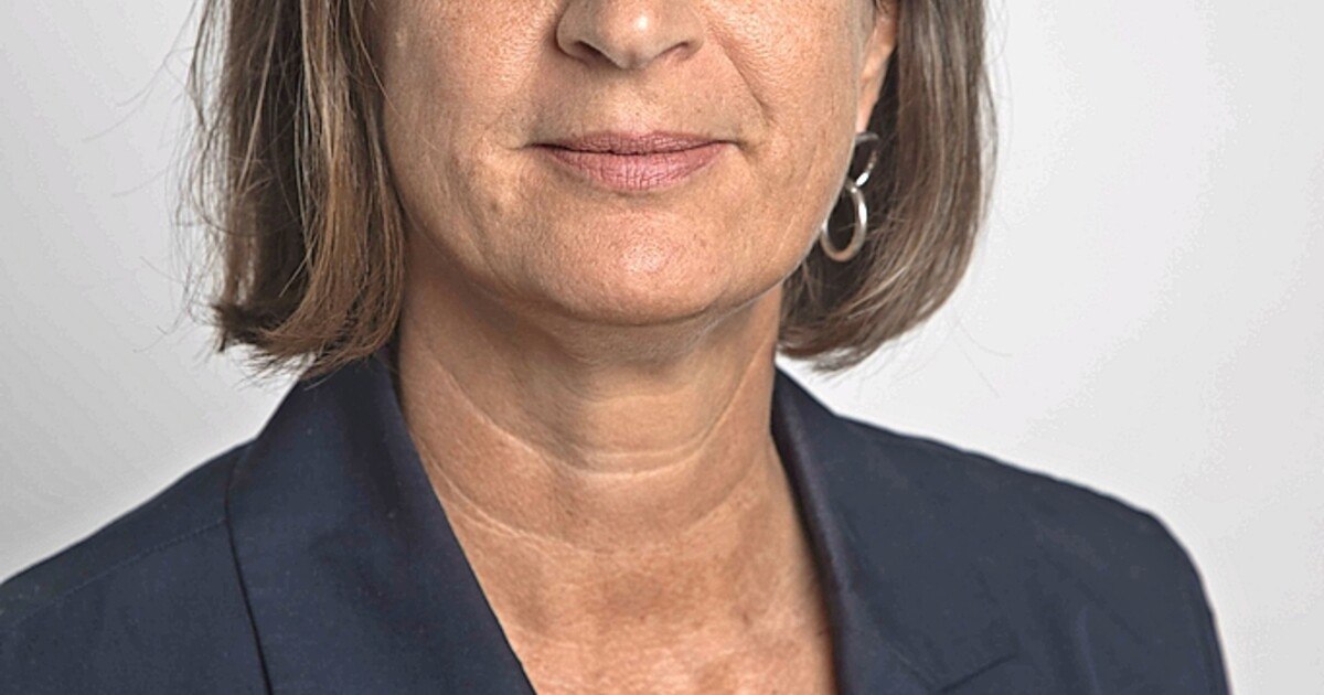 Ziviltechniker sehen ihren Berufsstand bedroht