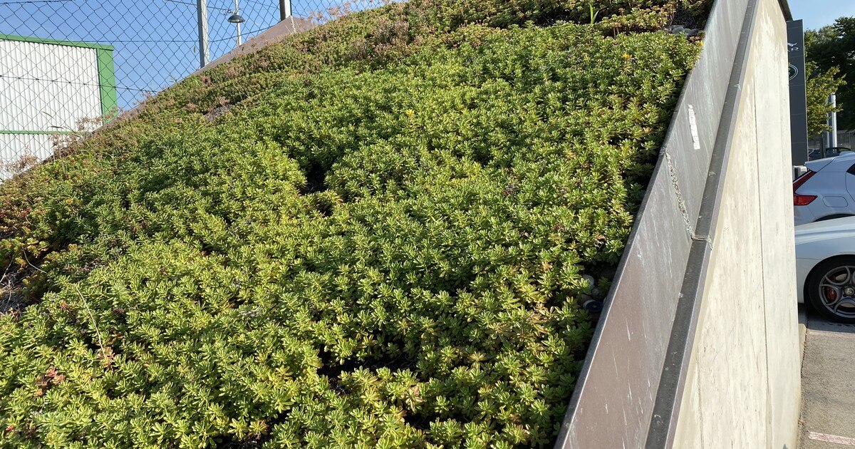 Vom Schutzdach zum Nutzdach: Retentionsvarianten