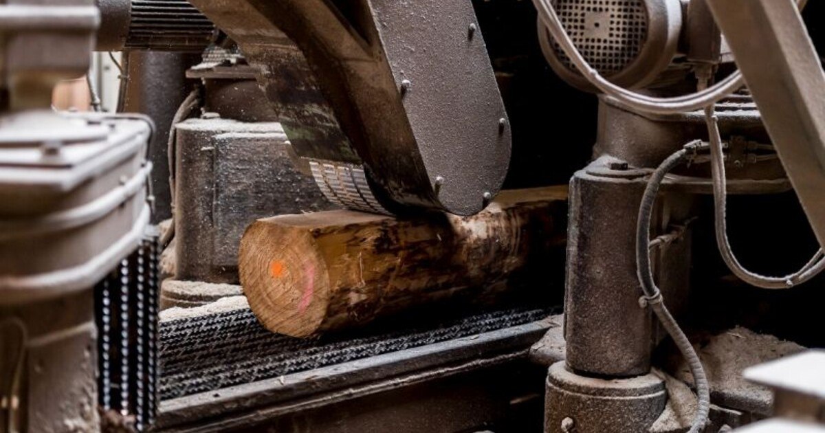 Holzindustrie: Neuer Obmann und positive Signale