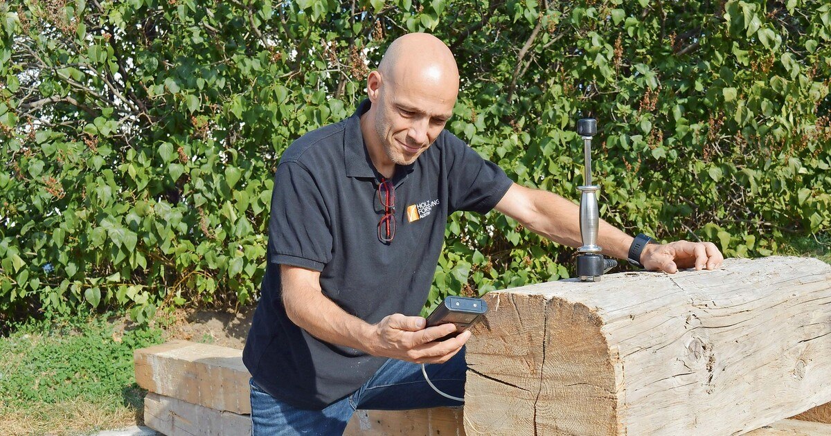 Neue Frische für altes Holz