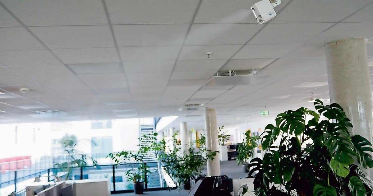 Luftbefeuchtung im Open-Space-Büro