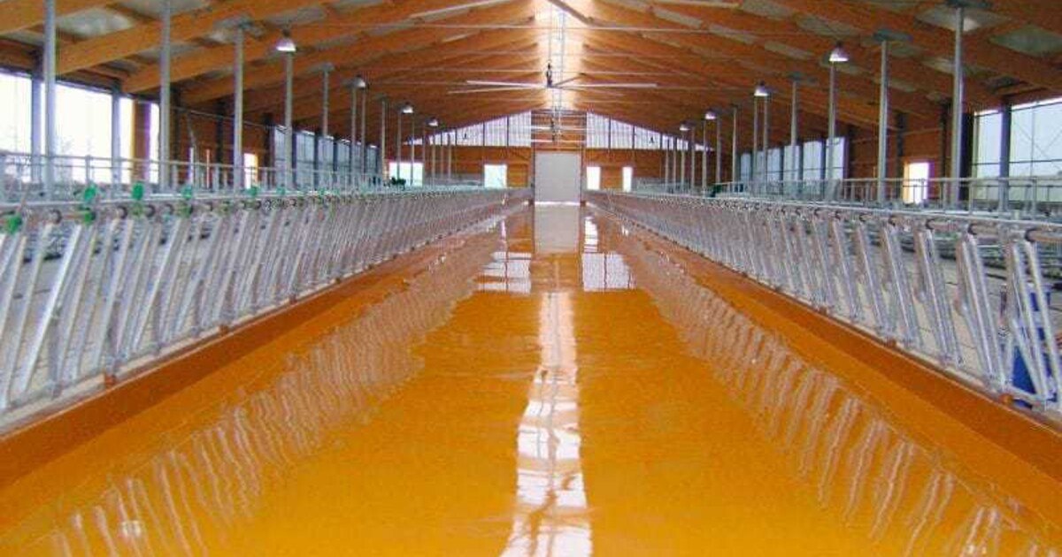 Mit Qualität an Boden gewinnen