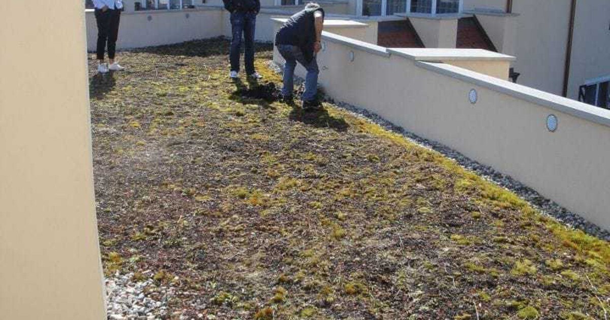 Typische Fehler bei der  Dachentwässerung