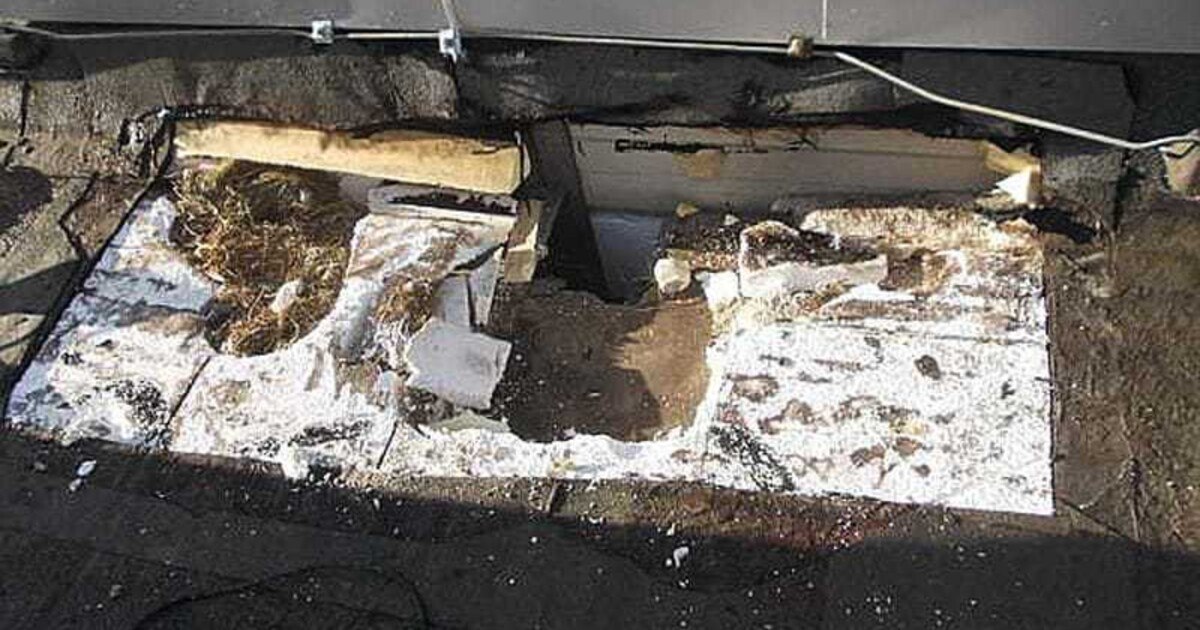 SV-Praxis – „Wohnung“ im Flachdach