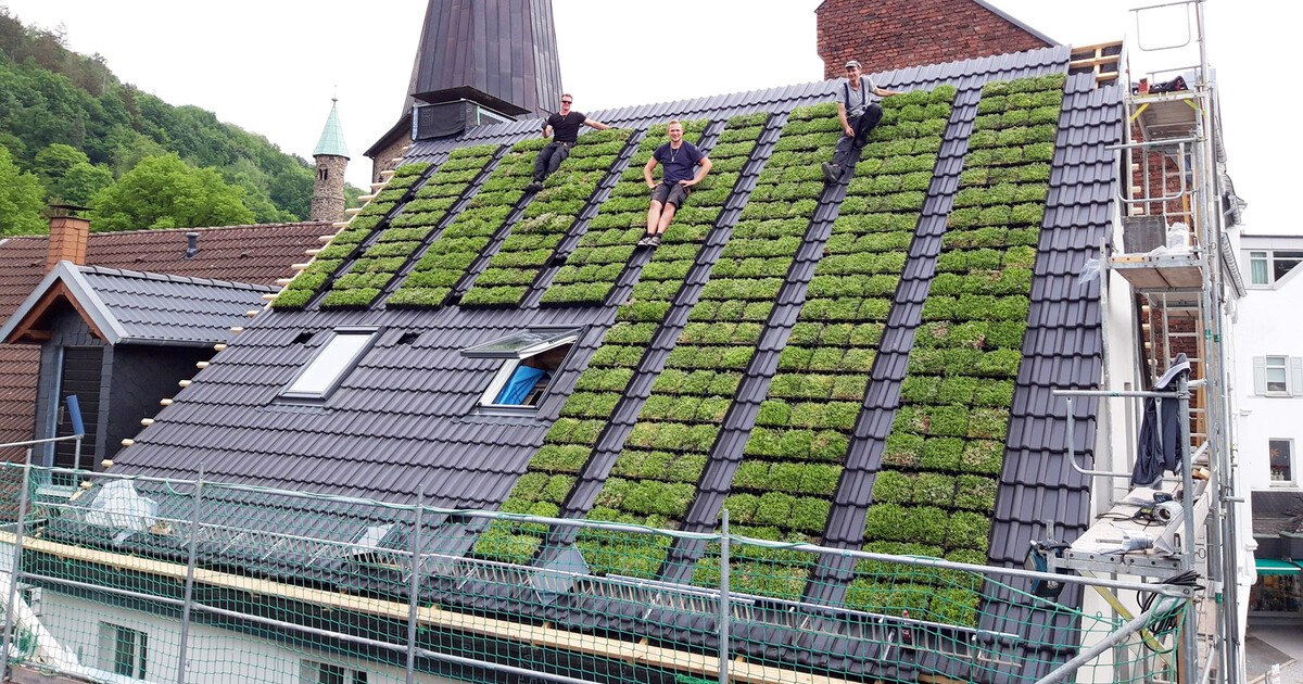 Innovationen für die Dachbranche