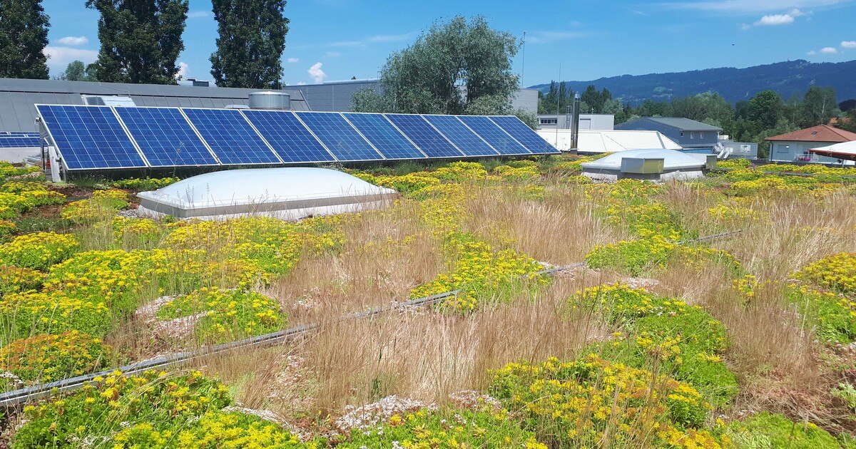 K3-Dächer für eine lange Lebensdauer