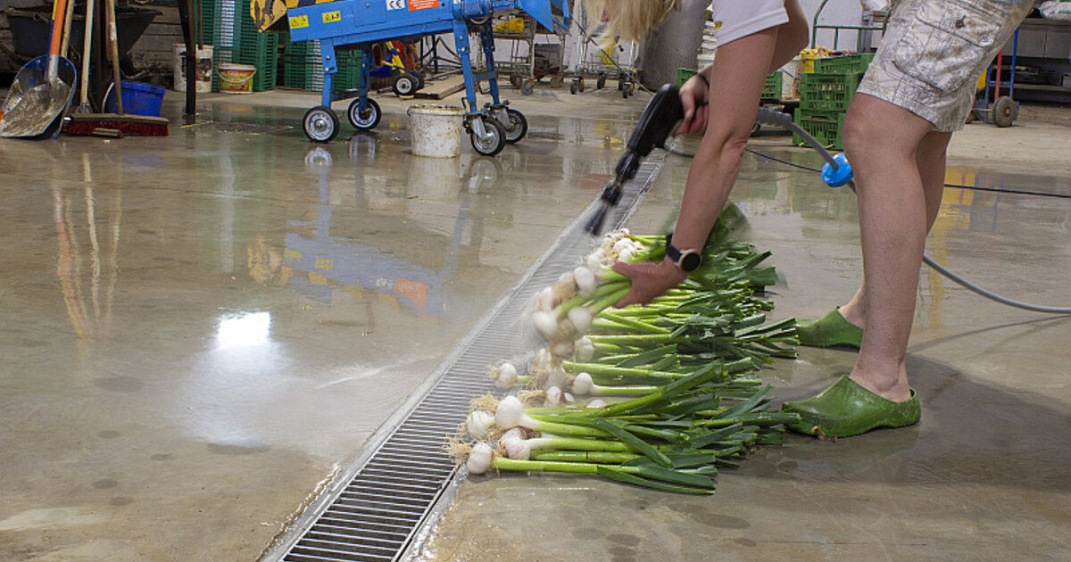 Wasser marsch für saisonales Gemüse