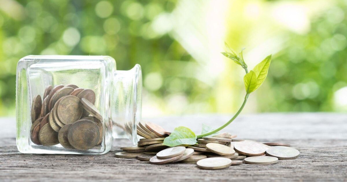 Experten erwarten starke Erholung