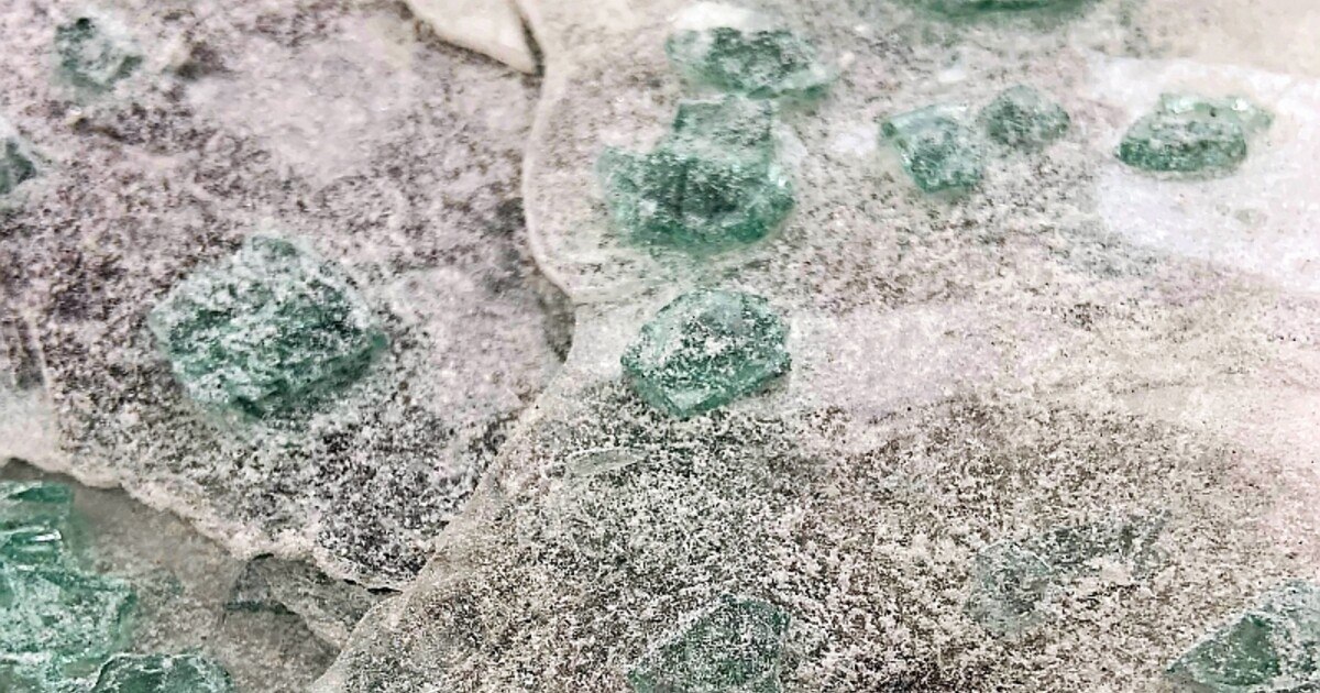 Ökologischer Meilenstein