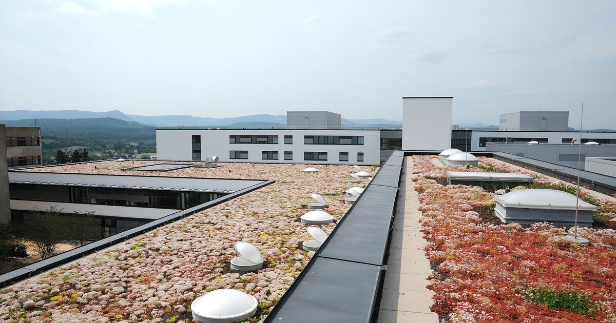 Wasserretention auf Dächern