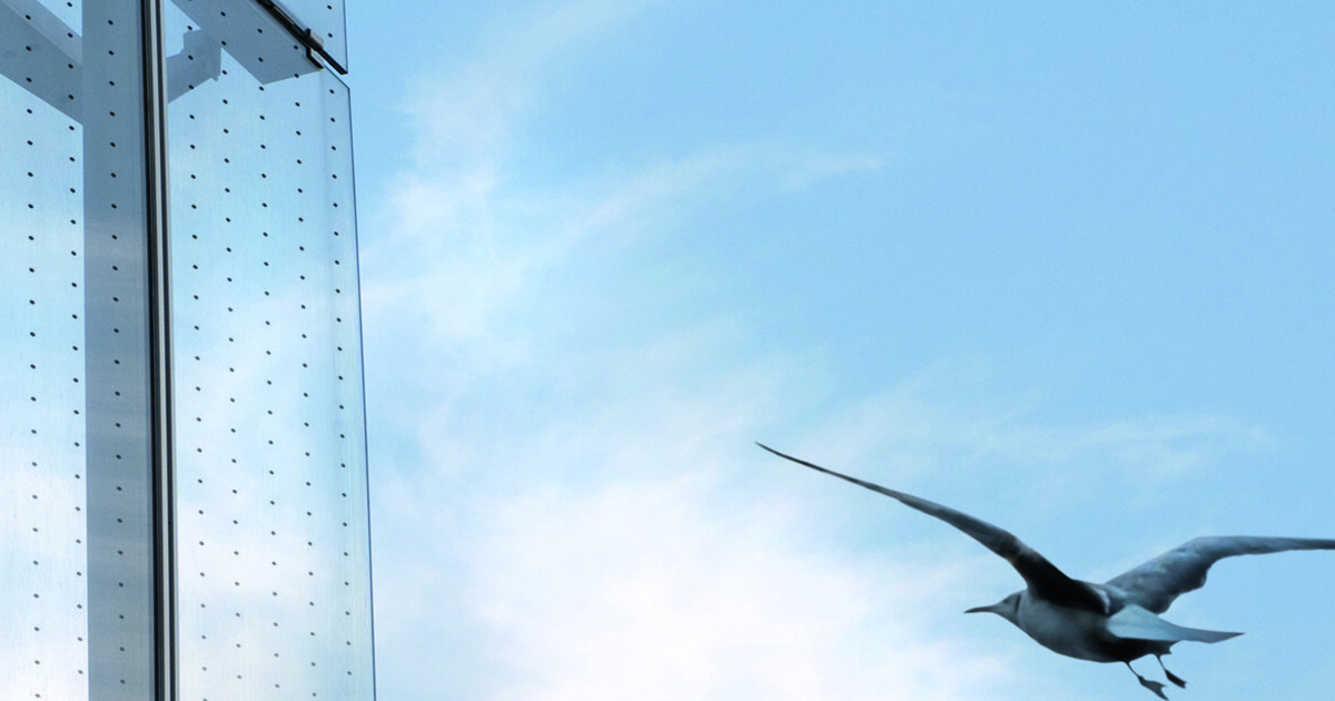 Transparenz und Vogelschutz