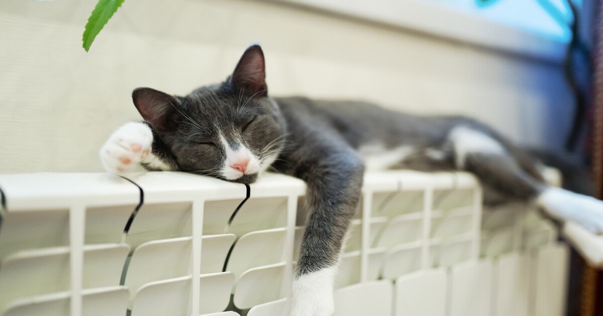 Heizkörpermarkt rückläufig