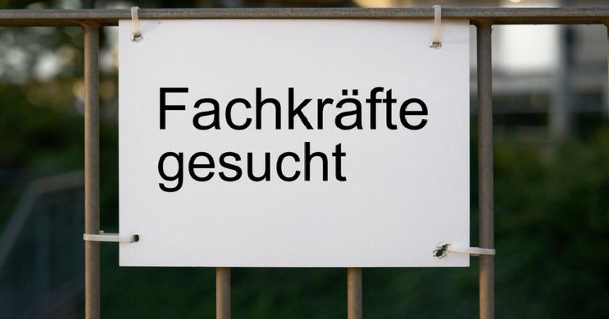 Förderungen für Lehrbetriebe: Potenzial nutzen