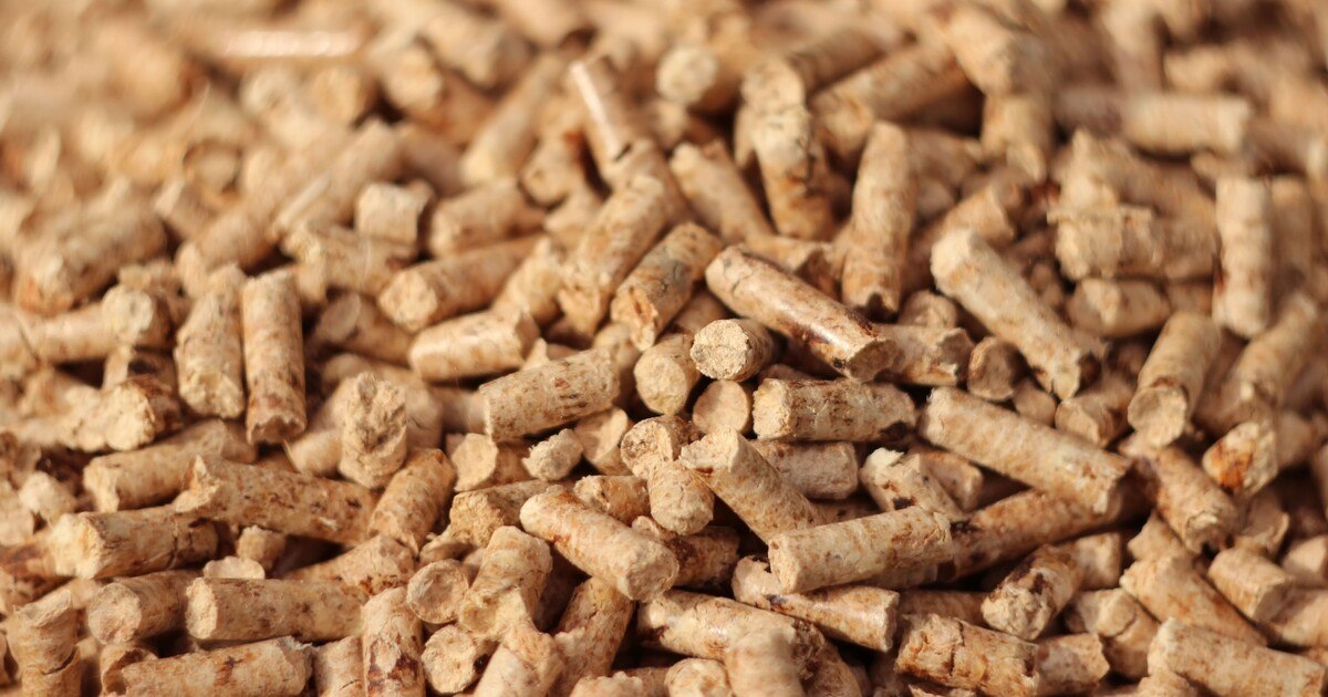 Klimaretter aus dem Wald: Österreicher setzen auf Pellets
