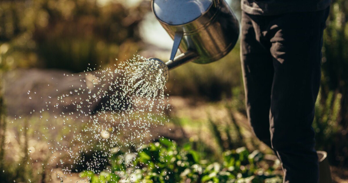 29. Juli ist „Earth Overshoot Day“ 2021