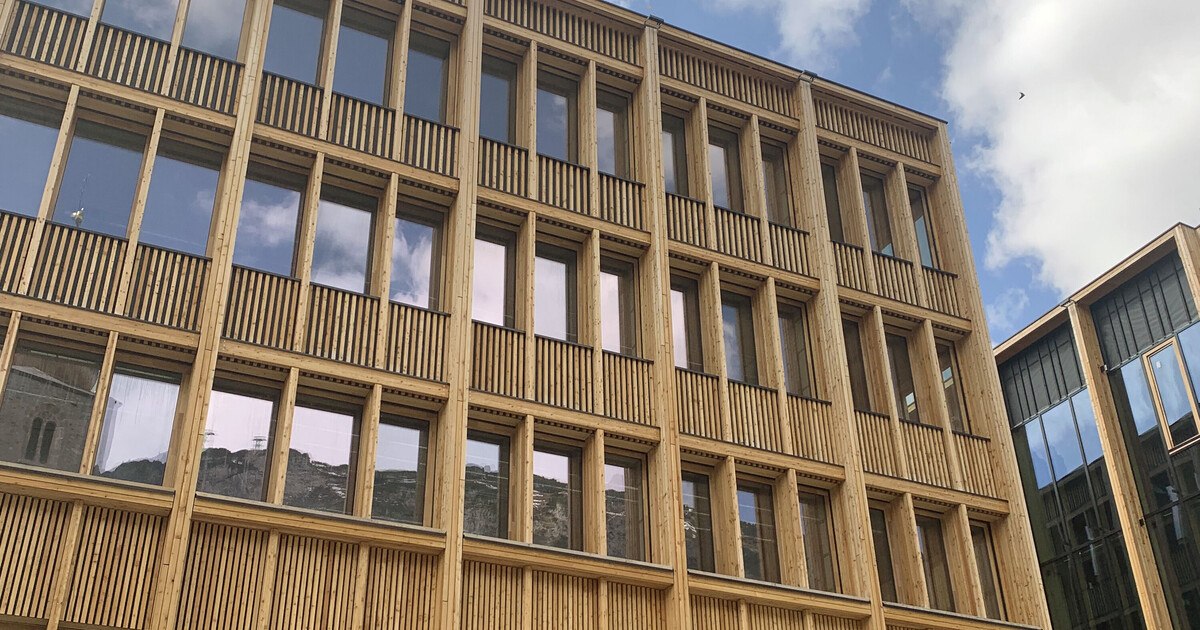 Geballtes Holz-Fachwissen