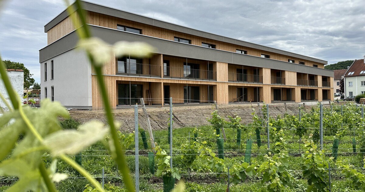 Zur Hälfte frei von CO2