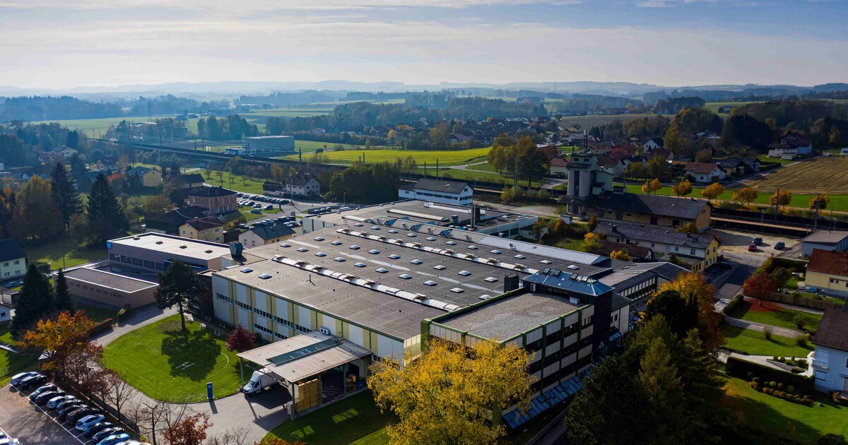 Holzbearbeitung vor Ort erleben