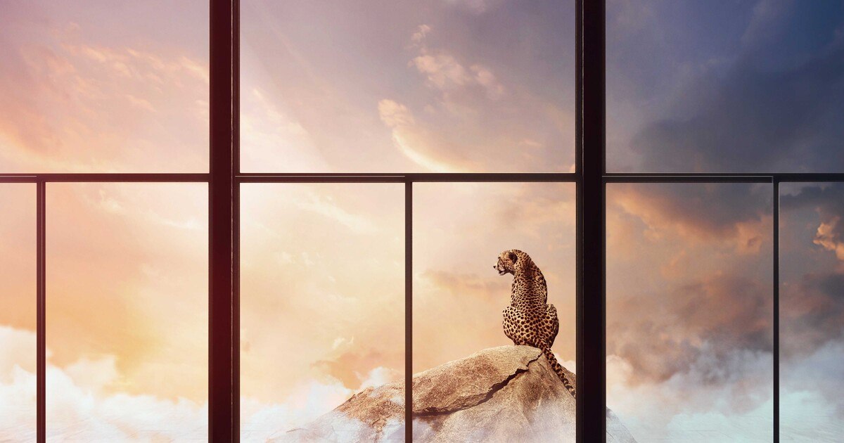 Das Glas der Zukunft