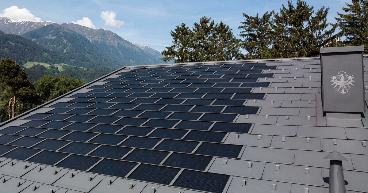 Wie viele Bäume kompensieren ein Prefa-Dach?