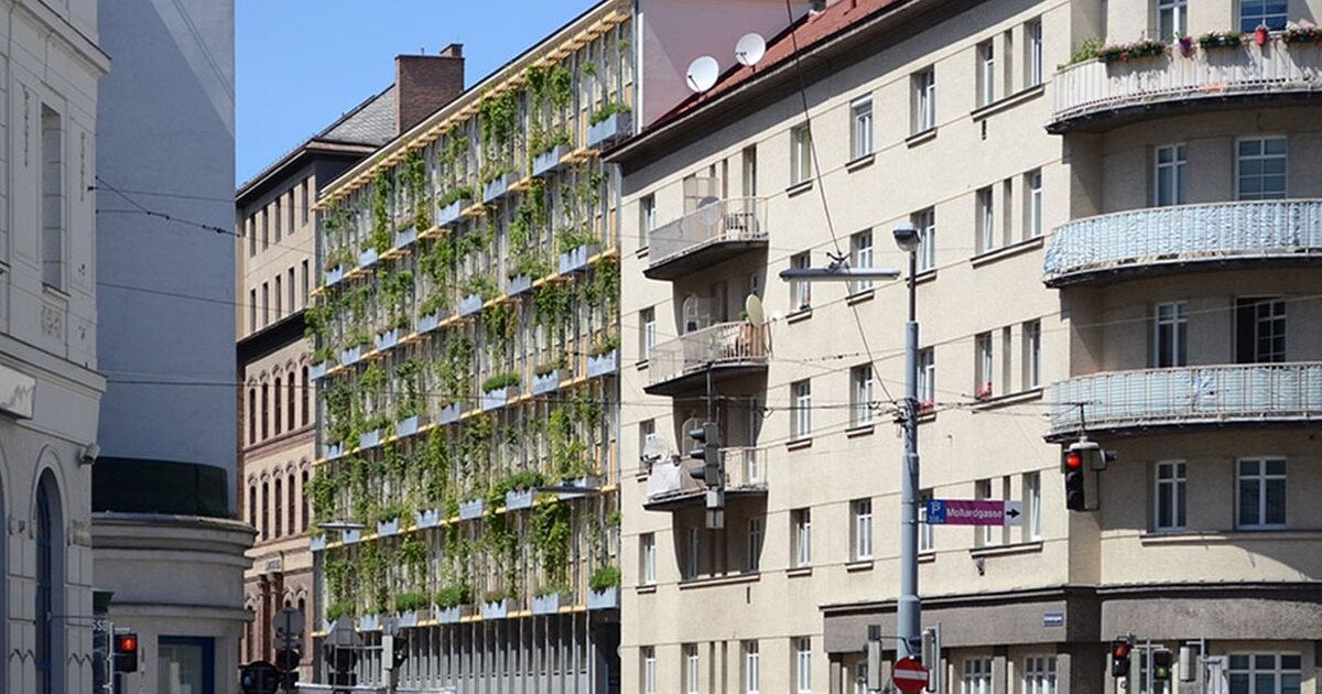 Vier Beispiele gelungener Grün-Fassaden