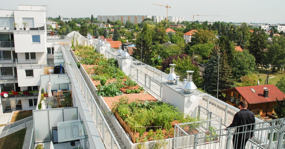 Starkregenmanagement durch Flächenentsiegelung