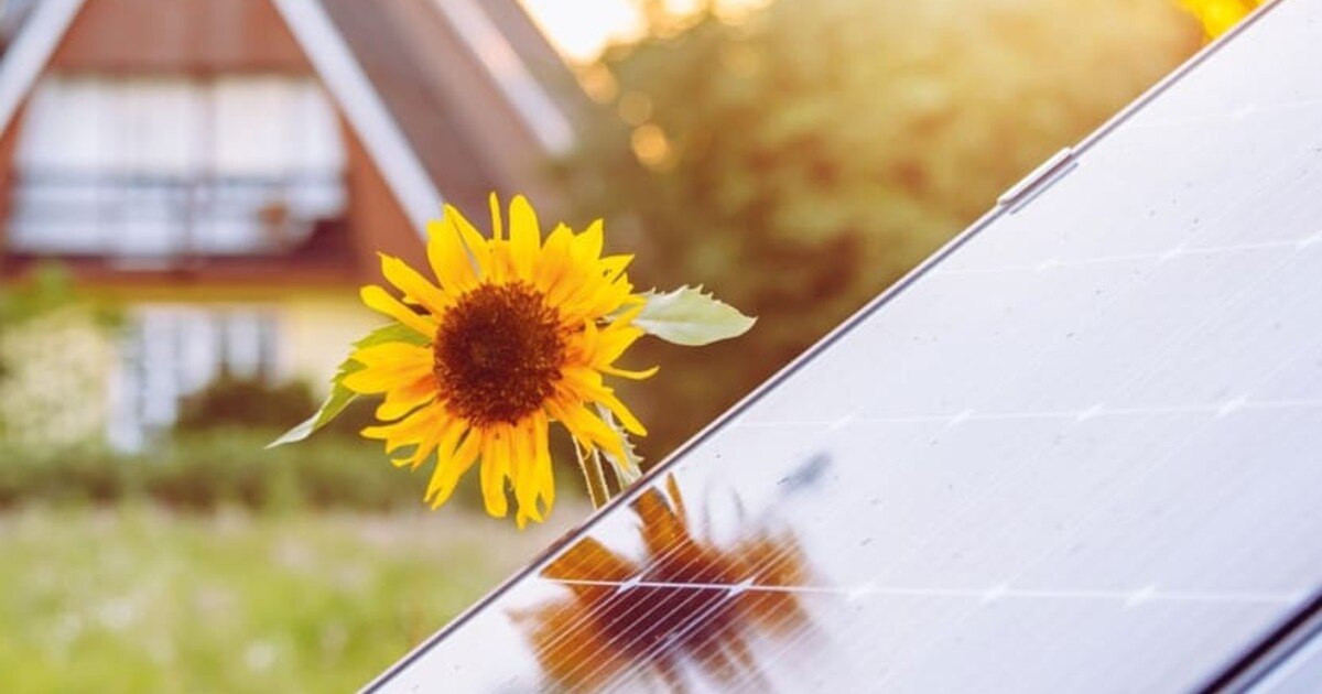 Die Potentiale von Photovoltaik für die Immobilienwirtschaft