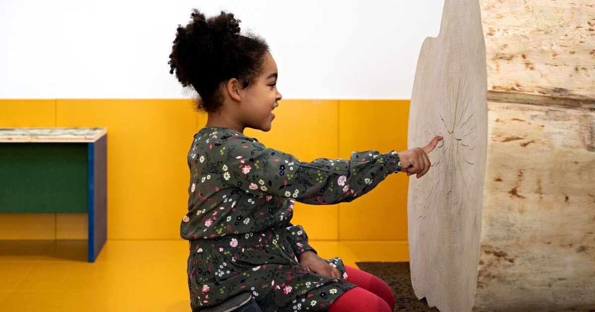 Mitmachausstellung: Von der Vielfalt des Holzes