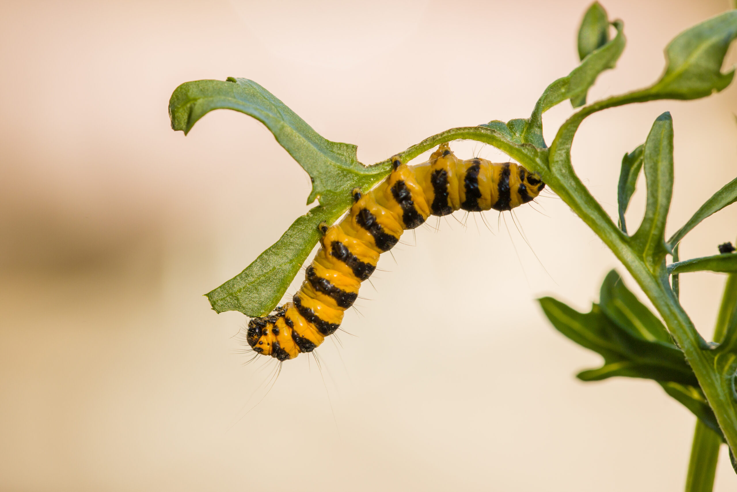 Die Transformation der Bauwirtschaft