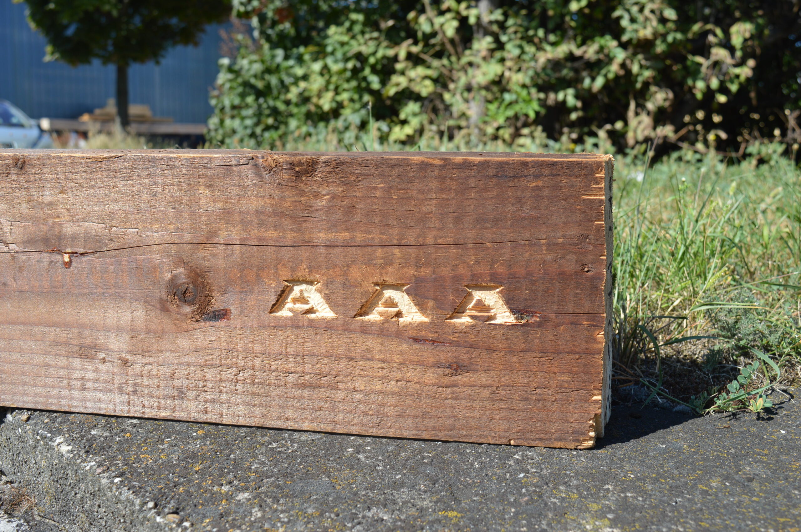 Studie „Altholz Aufkommen Austria“ verfügbar