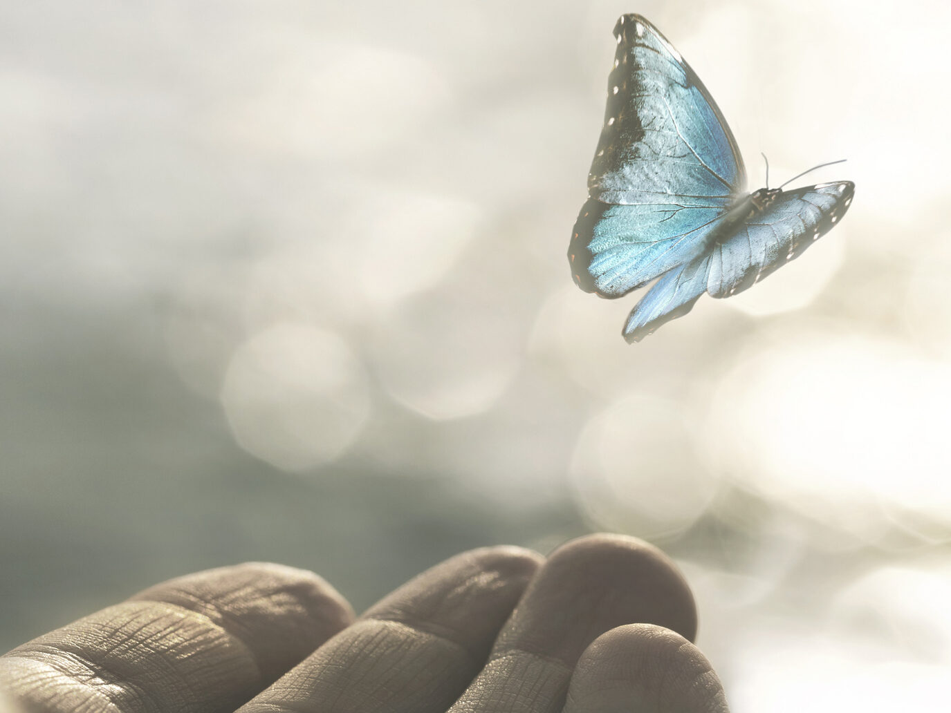 Warum konservierungsmittelfreie Produkte die Zukunft sind