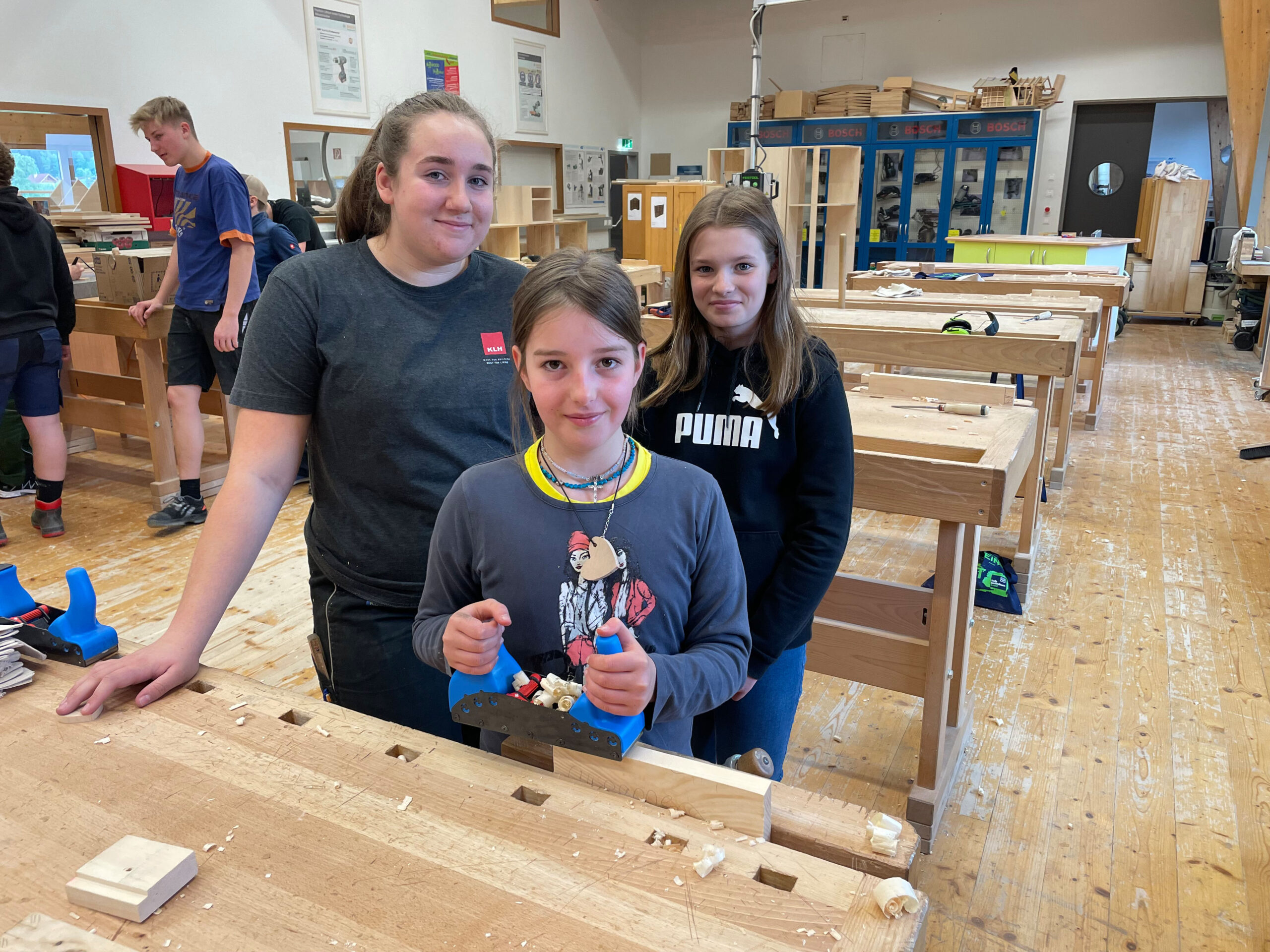 Die Welt des Holzes entdecken