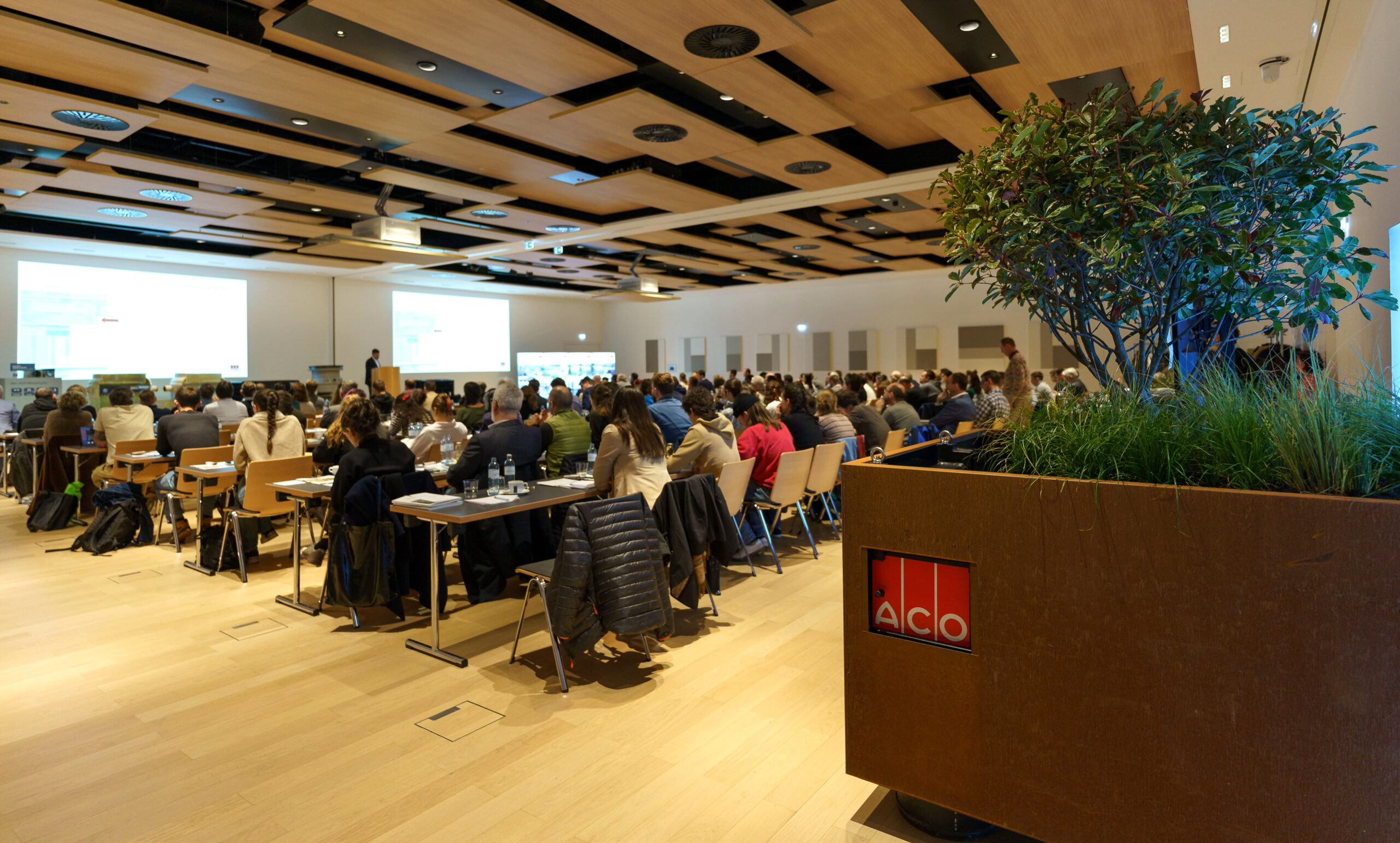 Regenwassermanagement für klimaresiliente Städte