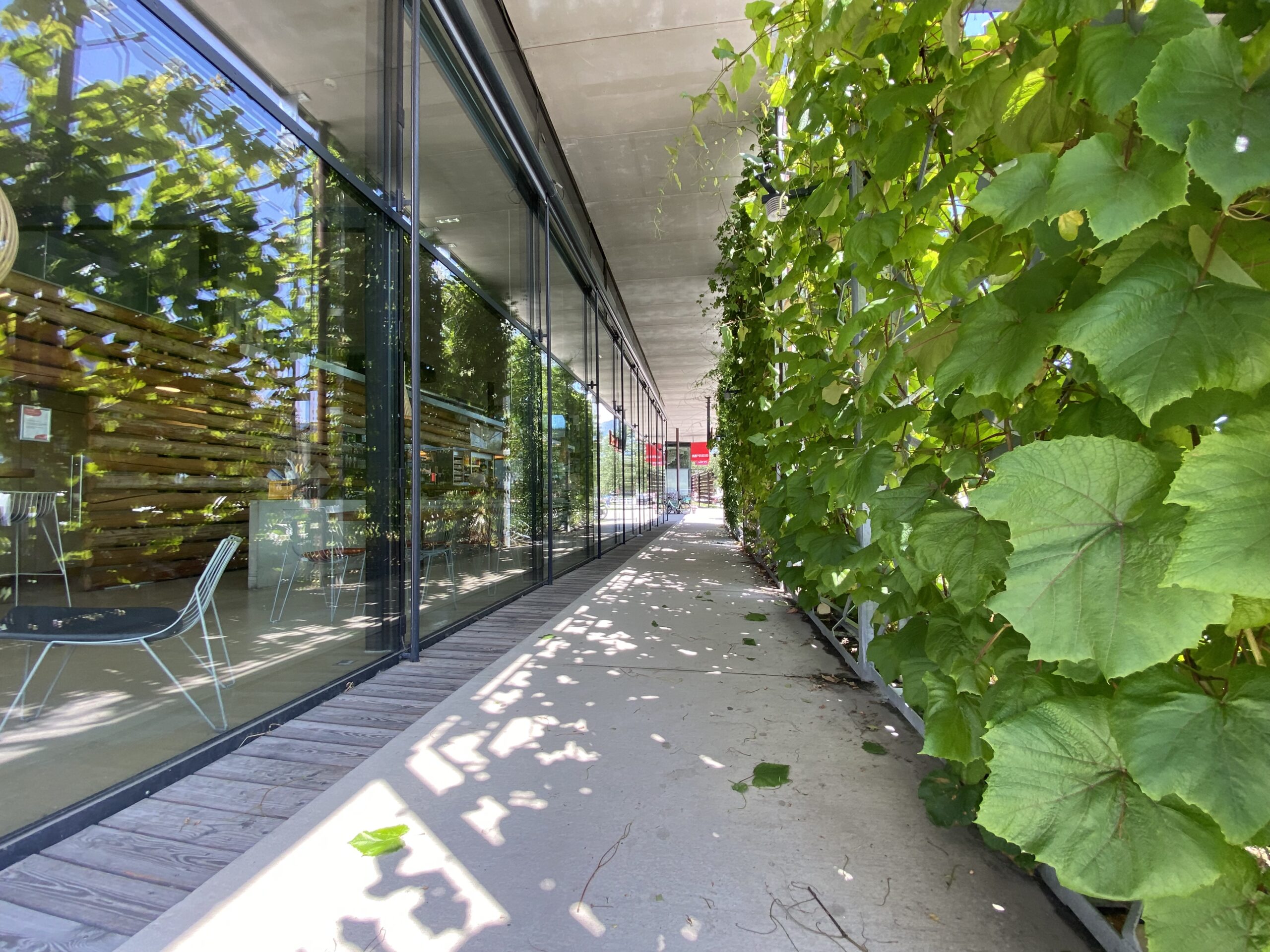 Begrünungen messbar machen