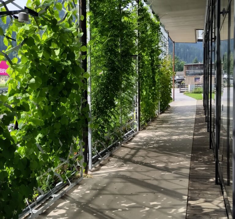 Begrünung: „Ein Puzzlestein gegen sommerliche Überwärmung“