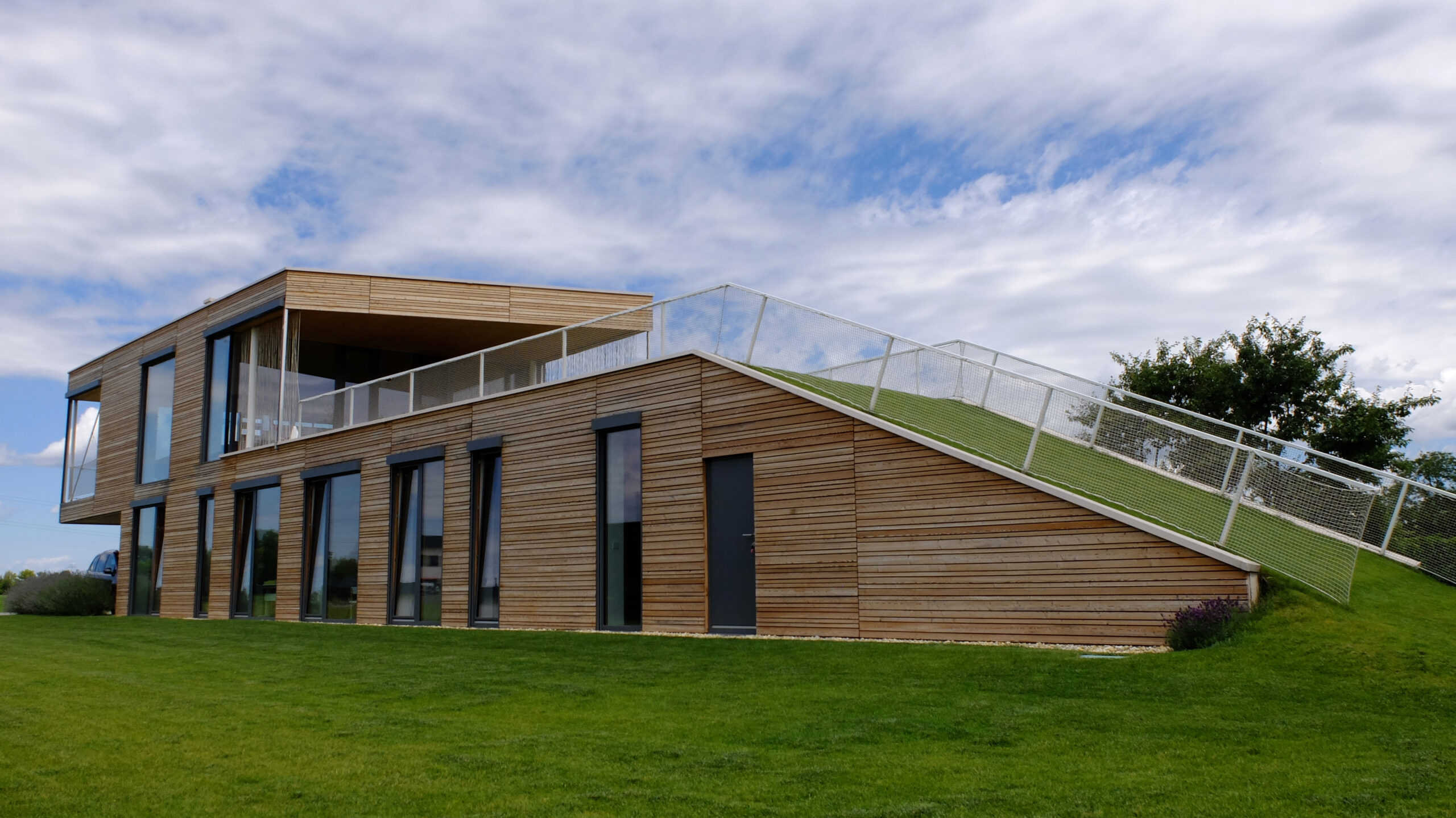 Neues Merkblatt „Dachbegrünungen auf Holzbauweise“