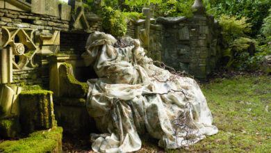 Kollektion Highgrove by Sanderson © Sanderson