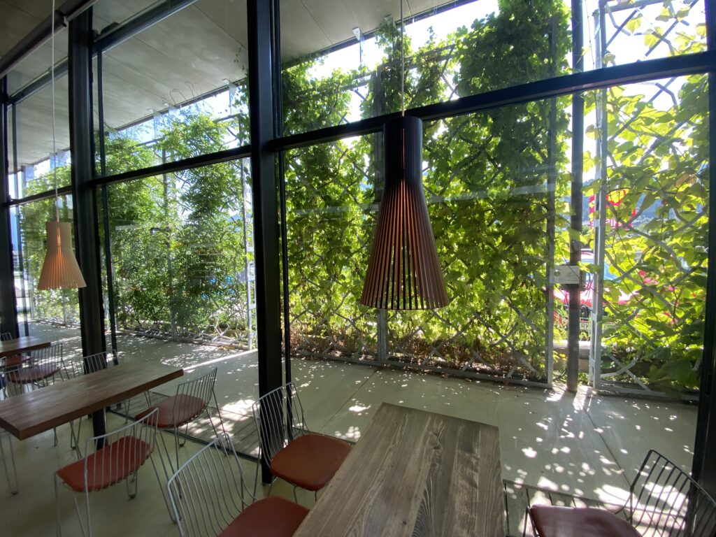 Demoobjekt MPreis-Filiale Söll mit GLASGrün-Systemen: Angenehme Temperaturen trotz Sommerhitze. Blick von innen auf die Verschattung der ­großen Glasflächen. © Martin Auer