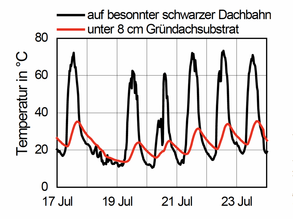 Gemessene Temperaturen auf einer schwarzen EPDM-Dachbahn ohne und mit zusätzlichem Gründachaufbau während fünf Sommertagen auf einem Forschungshaus der Holzforschung Austria in Wien. © HFA